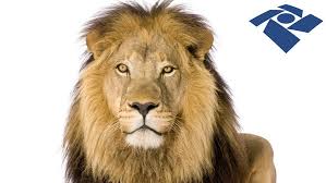 Receita Federal define parâmetros para acompanhamento diferenciado dos maiores contribuintes em 2016