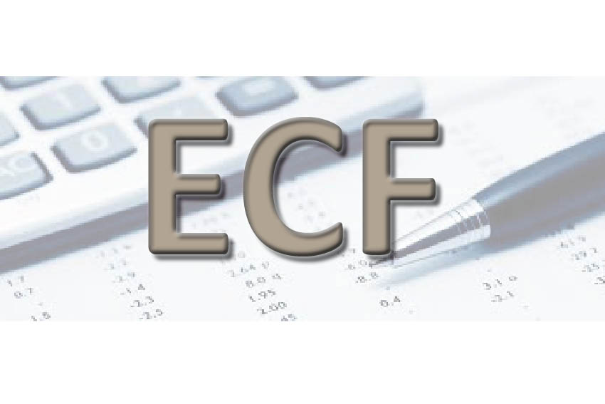 ECF: Dicas para Cumprir o Prazo de Entrega